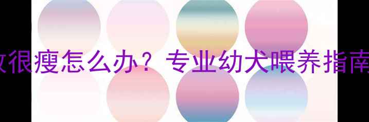 图片 二个月大的边牧很瘦怎么办？专业幼犬喂养指南与疾病预防全2