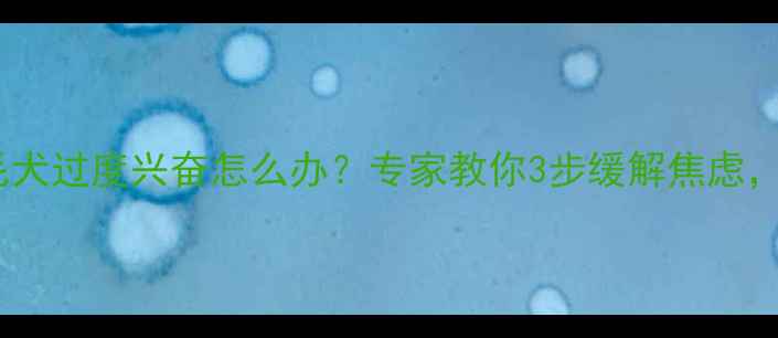 图片 五个月大金毛犬过度兴奋怎么办？专家教你3步缓解焦虑，家长必看！1