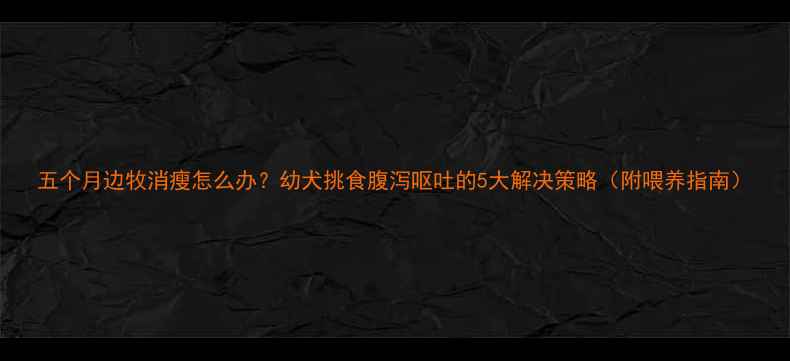 图片 五个月边牧消瘦怎么办？幼犬挑食腹泻呕吐的5大解决策略（附喂养指南）