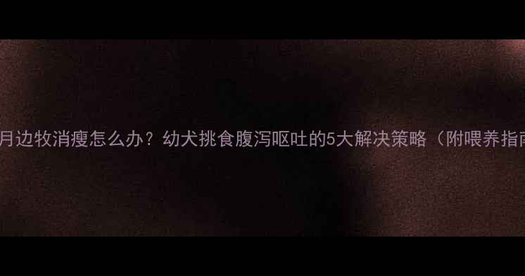 图片 五个月边牧消瘦怎么办？幼犬挑食腹泻呕吐的5大解决策略（附喂养指南）2