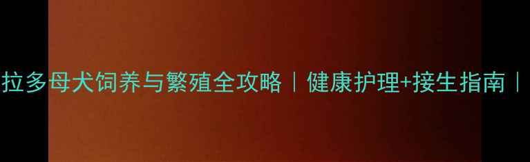 图片 信阳拉布拉多母犬饲养与繁殖全攻略｜健康护理+接生指南｜新手必看