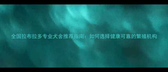 图片 全国拉布拉多专业犬舍推荐指南：如何选择健康可靠的繁殖机构