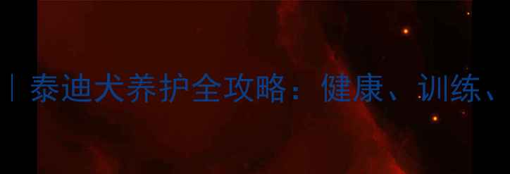 图片 八个月泰迪注意事项｜泰迪犬养护全攻略：健康、训练、饮食与行为管理指南