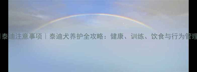 图片 八个月泰迪注意事项｜泰迪犬养护全攻略：健康、训练、饮食与行为管理指南2