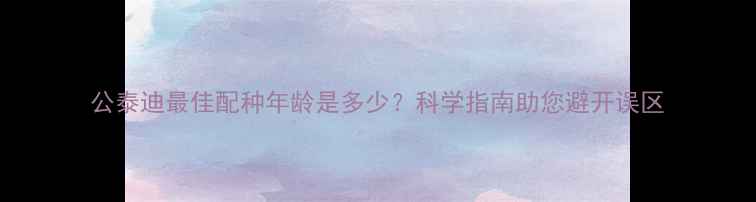 图片 公泰迪最佳配种年龄是多少？科学指南助您避开误区