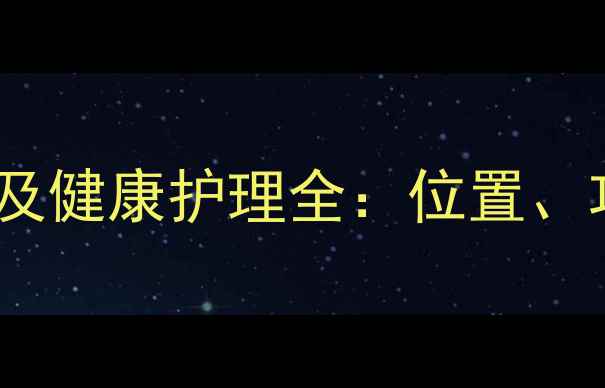 图片 公泰迪睾丸数量及健康护理全：位置、功能与常见问题1