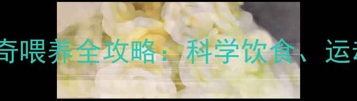 图片 六个月大哈士奇喂养全攻略：科学饮食、运动与护理指南1