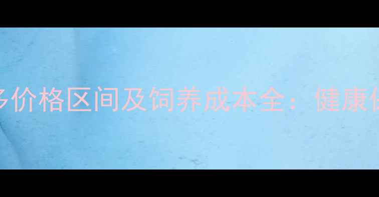 图片 六个月拉布拉多价格区间及饲养成本全：健康保障与训练建议