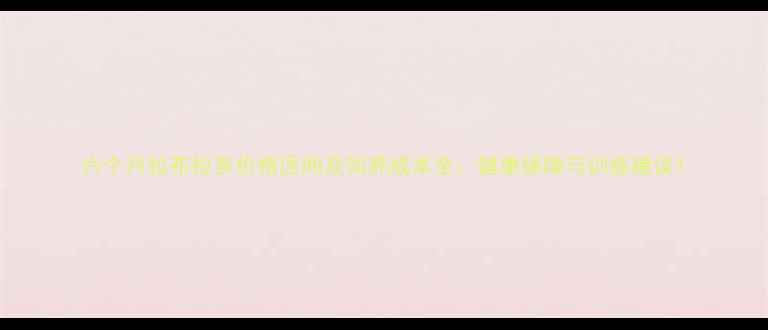 图片 六个月拉布拉多价格区间及饲养成本全：健康保障与训练建议1