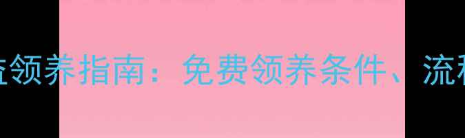 图片 兰州金毛犬公益领养指南：免费领养条件、流程及注意事项全
