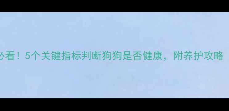 图片 养拉布拉多必看！5个关键指标判断狗狗是否健康，附养护攻略（附对比图）