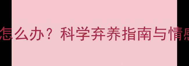 图片 养狗后后悔了怎么办？科学弃养指南与情感疏导全攻略1