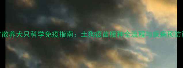 图片 农村散养犬只科学免疫指南：土狗疫苗接种全流程与疾病预防策略
