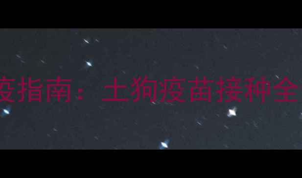图片 农村散养犬只科学免疫指南：土狗疫苗接种全流程与疾病预防策略2