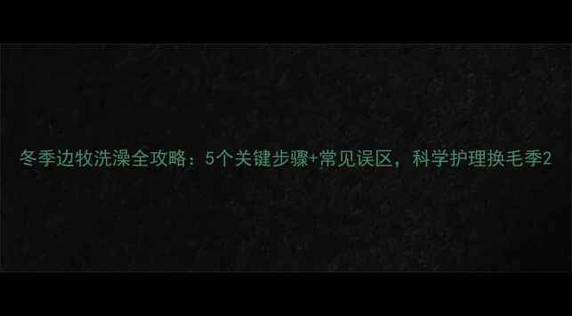 图片 冬季边牧洗澡全攻略：5个关键步骤+常见误区，科学护理换毛季2