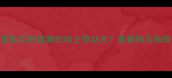 图片 北京上海哪里能买到健康的哈士奇幼犬？最新购买指南与注意事项