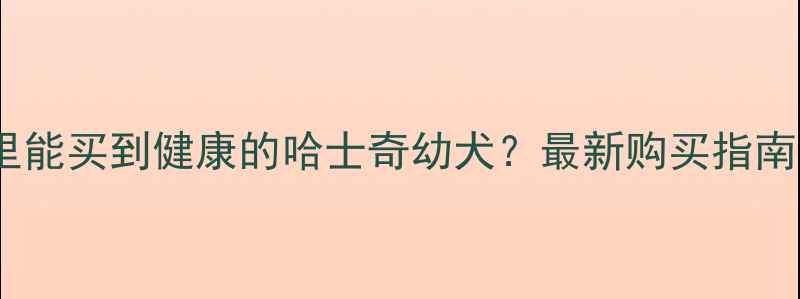 图片 北京上海哪里能买到健康的哈士奇幼犬？最新购买指南与注意事项2