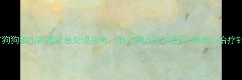 图片 北京上海等城市狗狗细小病毒紧急处理指南：细小病必须知道的5种核心治疗针剂及护理误区1
