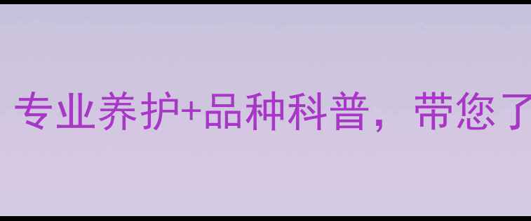 图片 北京哈士奇宠物店推荐：专业养护+品种科普，带您了解毛孩子健康生活指南2