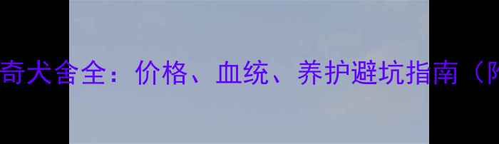 图片 北京来宝哈士奇犬舍全：价格、血统、养护避坑指南（附真实评价）2