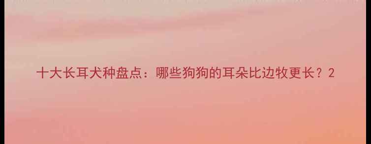 图片 十大长耳犬种盘点：哪些狗狗的耳朵比边牧更长？2