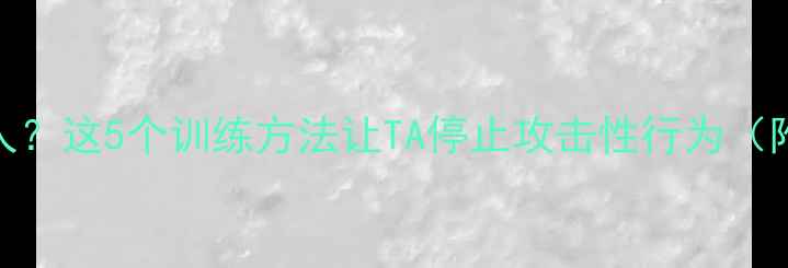 图片 半岁小狗突然咬人？这5个训练方法让TA停止攻击性行为（附专业纠正指南）