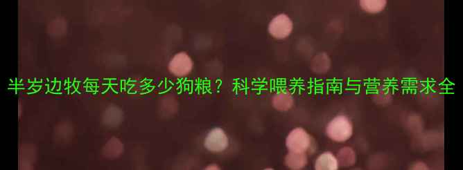 图片 半岁边牧每天吃多少狗粮？科学喂养指南与营养需求全