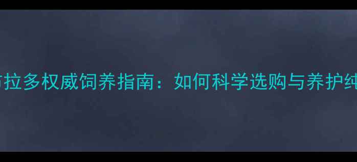 图片 单血统拉布拉多权威饲养指南：如何科学选购与养护纯种贵宾犬1