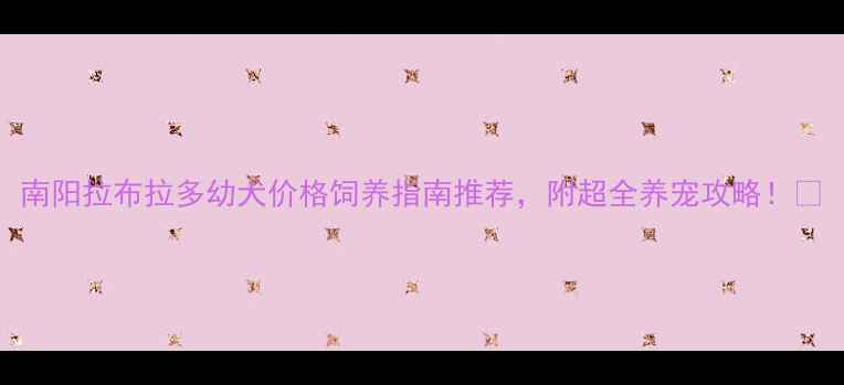 图片 南阳拉布拉多幼犬价格饲养指南推荐，附超全养宠攻略！🐾