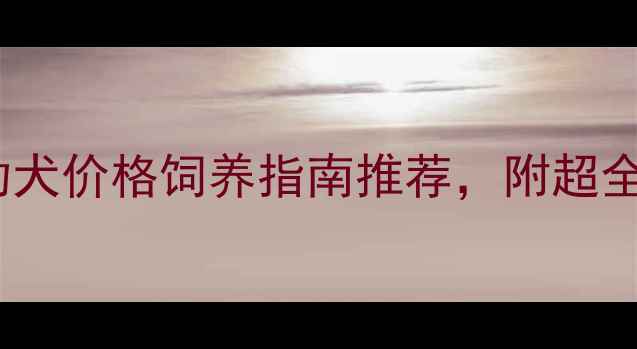 图片 南阳拉布拉多幼犬价格饲养指南推荐，附超全养宠攻略！🐾1