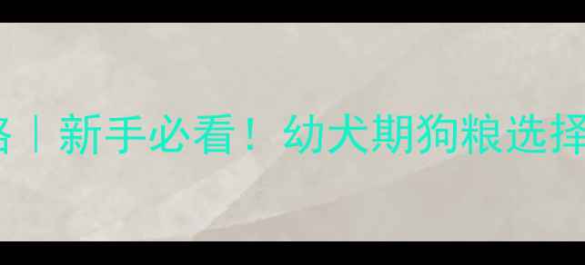 图片 博美幼犬2个月喂养全攻略｜新手必看！幼犬期狗粮选择+营养搭配+常见问题解答