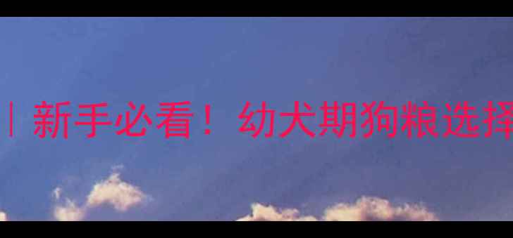 图片 博美幼犬2个月喂养全攻略｜新手必看！幼犬期狗粮选择+营养搭配+常见问题解答2