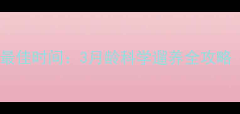 图片 博美犬幼犬遛狗最佳时间：3月龄科学遛养全攻略（附月龄指南）1