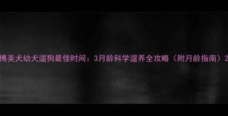 图片 博美犬幼犬遛狗最佳时间：3月龄科学遛养全攻略（附月龄指南）2