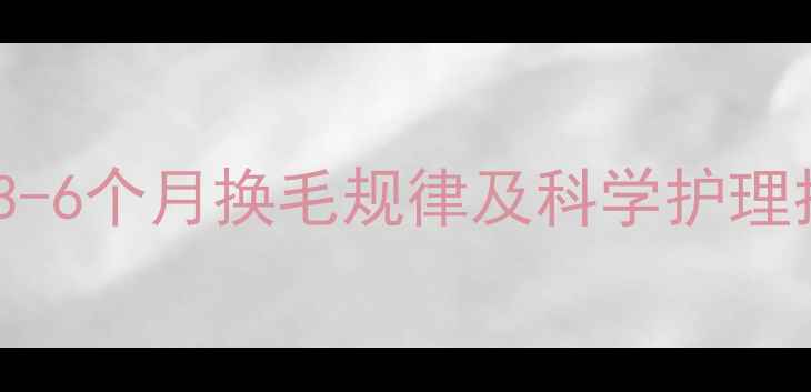 图片 博美犬换毛期：3-6个月换毛规律及科学护理指南（附图片）1