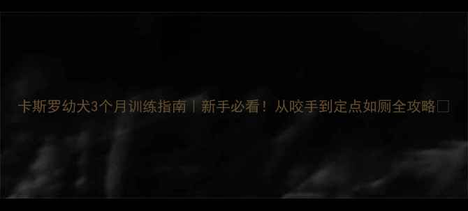 图片 卡斯罗幼犬3个月训练指南｜新手必看！从咬手到定点如厕全攻略🐾