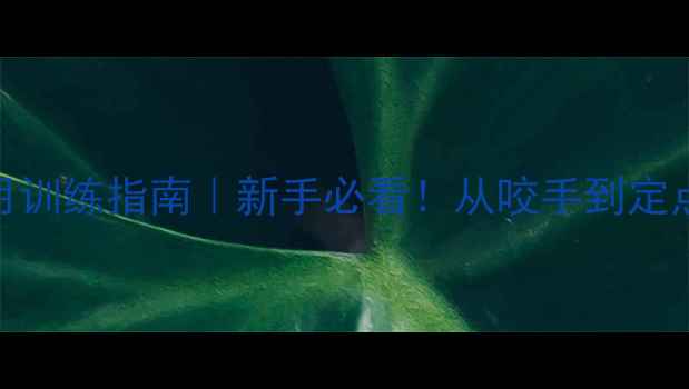 图片 卡斯罗幼犬3个月训练指南｜新手必看！从咬手到定点如厕全攻略🐾1