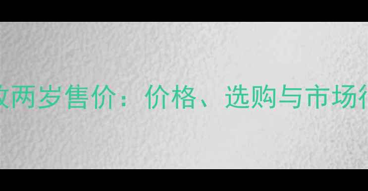 图片 双血统边牧两岁售价：价格、选购与市场行情全指南