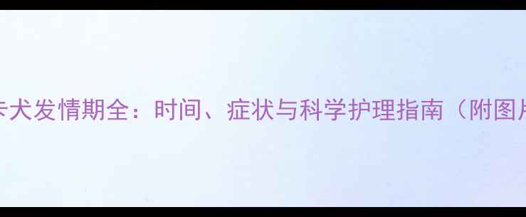 图片 可卡犬发情期全：时间、症状与科学护理指南（附图片）