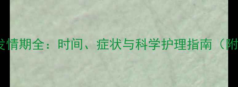 图片 可卡犬发情期全：时间、症状与科学护理指南（附图片）1
