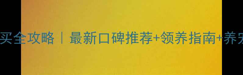 图片 合肥哈士奇购买全攻略｜最新口碑推荐+领养指南+养宠避坑清单🐾1