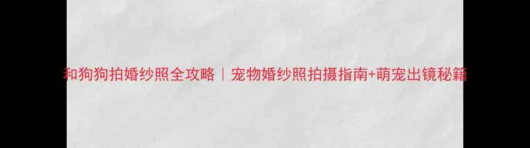 图片 和狗狗拍婚纱照全攻略｜宠物婚纱照拍摄指南+萌宠出镜秘籍
