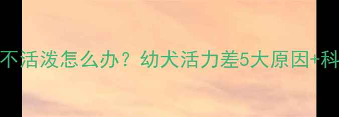 图片 哈士奇5个月不活泼怎么办？幼犬活力差5大原因+科学改善指南2