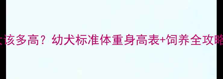 图片 哈士奇5个月大该多高？幼犬标准体重身高表+饲养全攻略（附对比图）