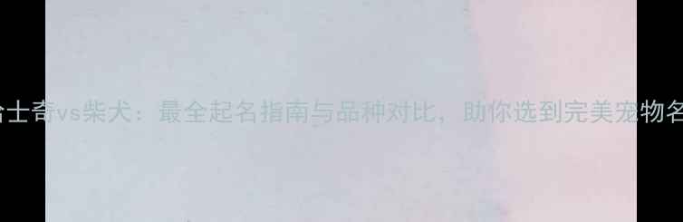 图片 哈士奇vs柴犬：最全起名指南与品种对比，助你选到完美宠物名2