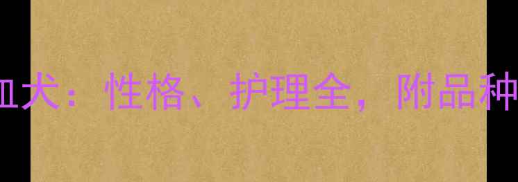 图片 哈士奇×边牧混血犬：性格、护理全，附品种对比与饲养指南1