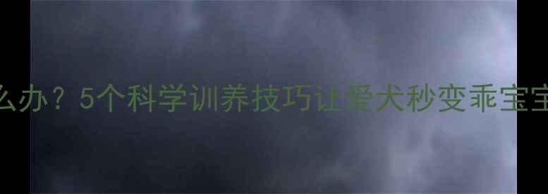 图片 哈士奇不听话怎么办？5个科学训养技巧让爱犬秒变乖宝宝（附训练案例）