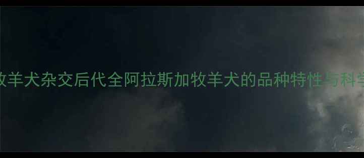 图片 哈士奇与牧羊犬杂交后代全阿拉斯加牧羊犬的品种特性与科学饲养指南