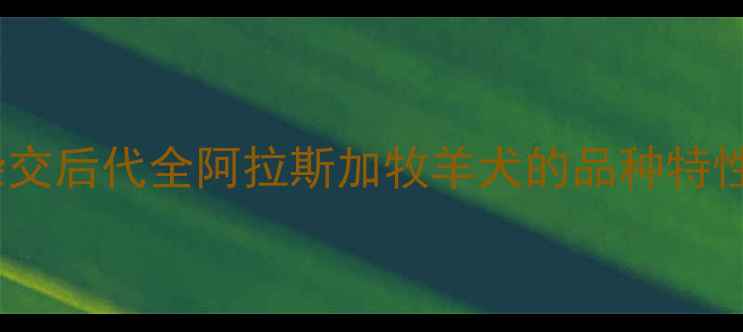 图片 哈士奇与牧羊犬杂交后代全阿拉斯加牧羊犬的品种特性与科学饲养指南2