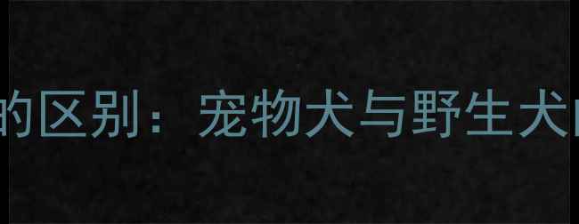 图片 哈士奇与狼的区别：宠物犬与野生犬的饲养指南1